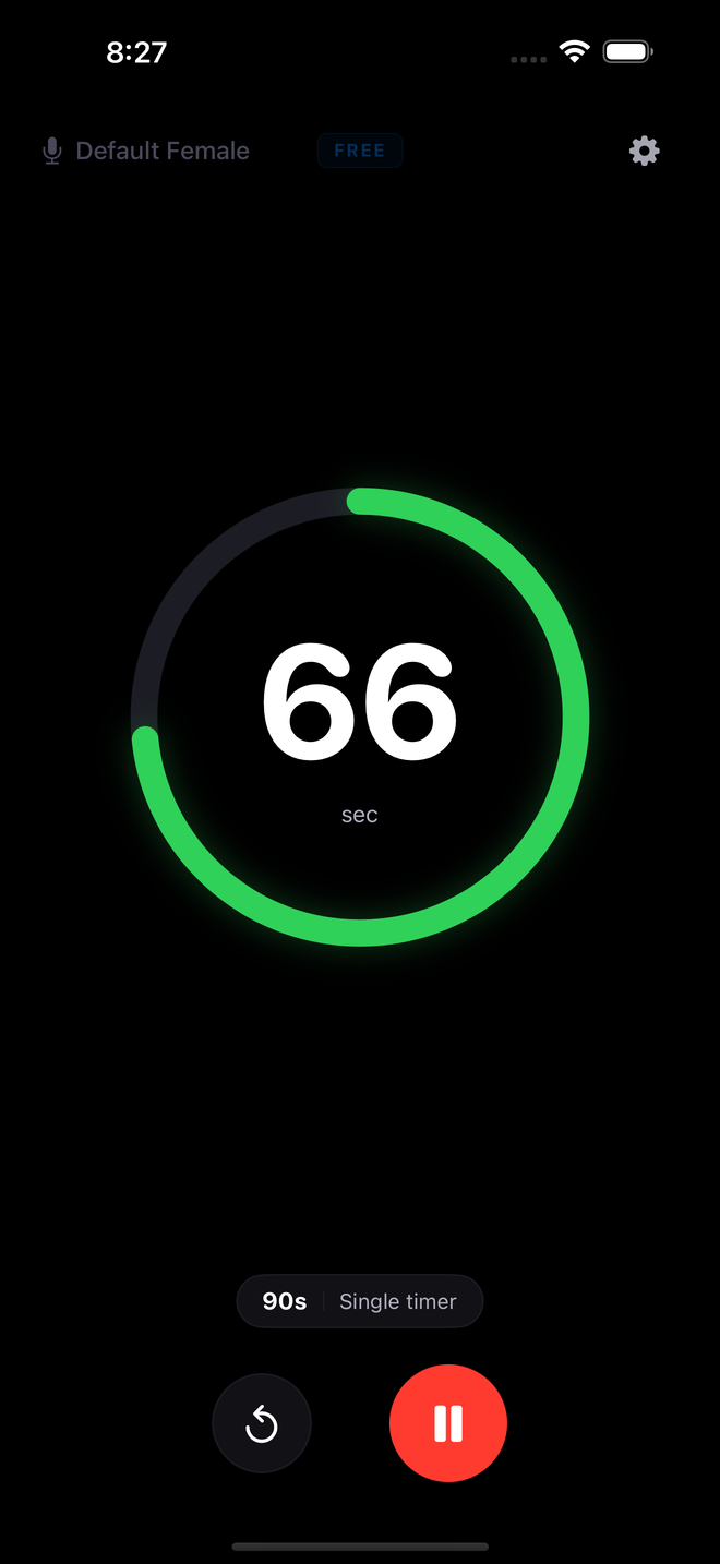 Timer running — circular progress ring with the big countdown number